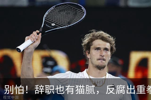 别怕！辞职也有猫腻，反腐出重拳！