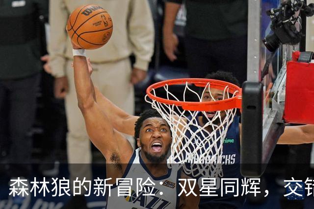 森林狼的新冒险：双星同辉，交错带队的奇妙旅程